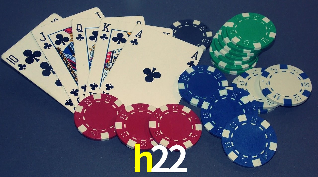 Casino VIP h22